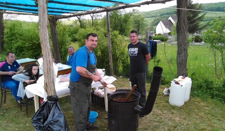 Vatra 2015