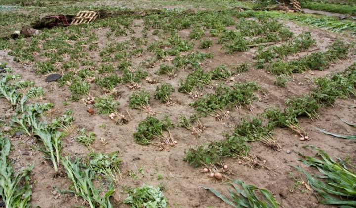 16. fotografia fotogalérie 