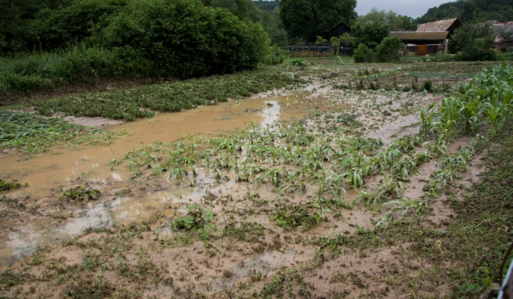 18. fotografia fotogalérie 