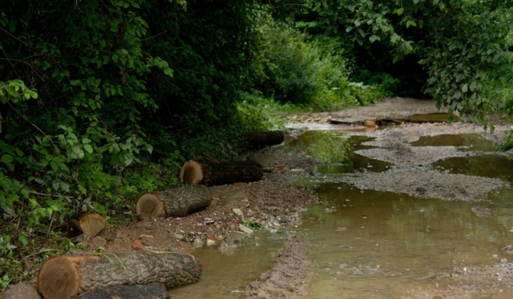 19. fotografia fotogalérie 