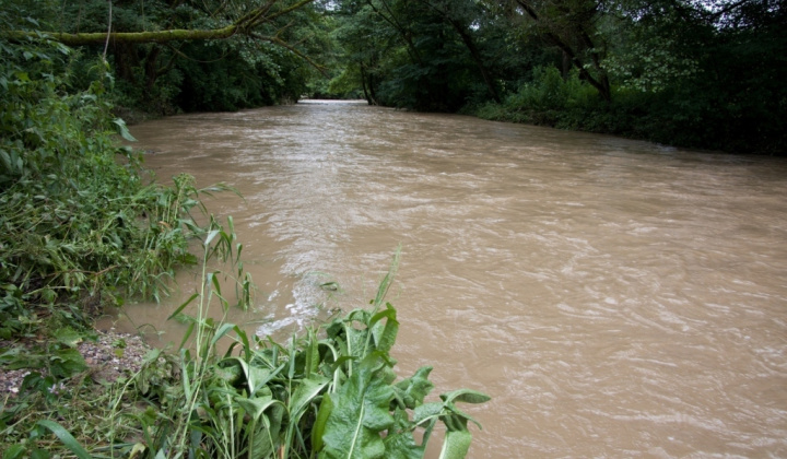 20. fotografia fotogalérie 