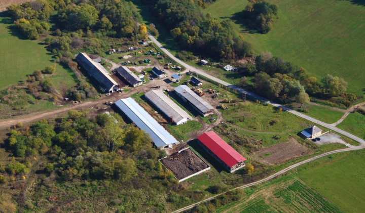 11. fotografia fotogalérie 