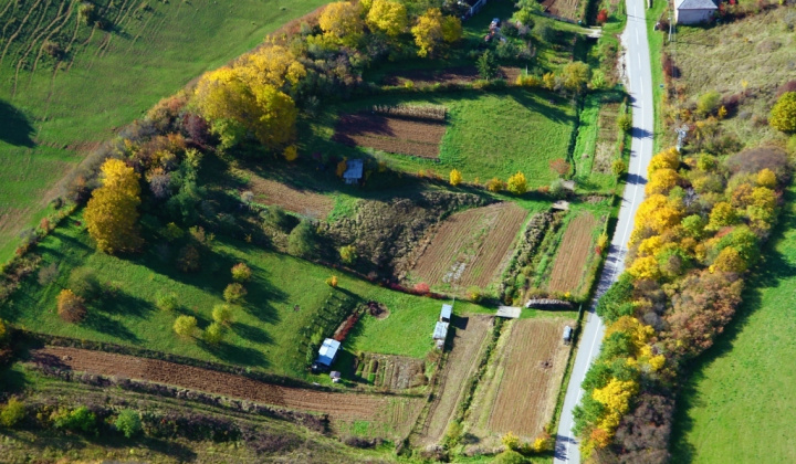 12. fotografia fotogalérie 