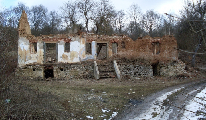 12. fotografia fotogalérie 