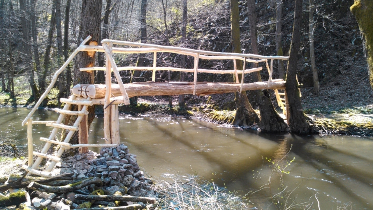 Fotografia fotogalérie