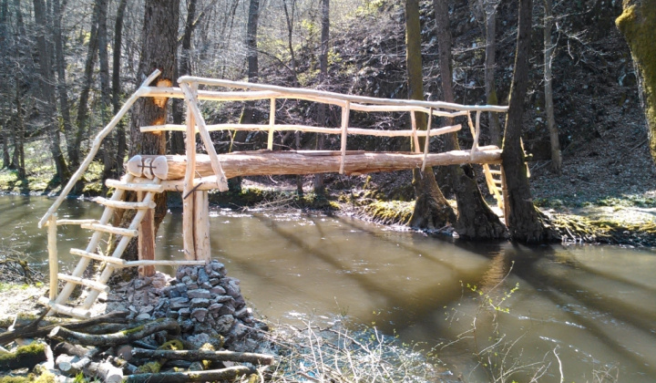 1. fotografia fotogalérie 