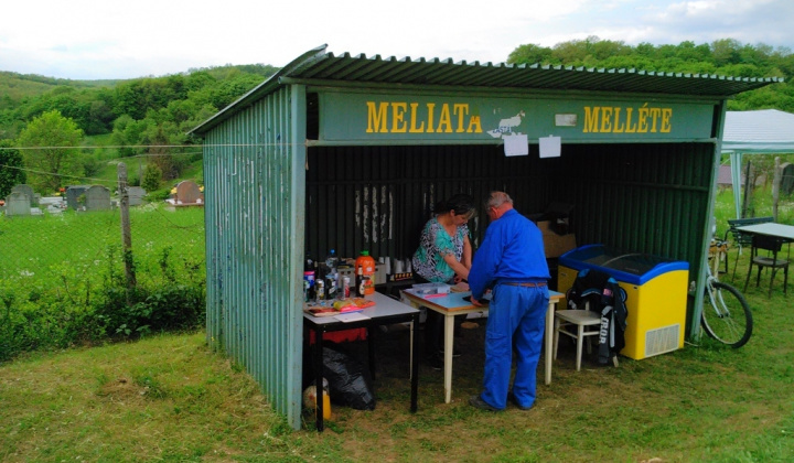 20. fotografia fotogalérie 