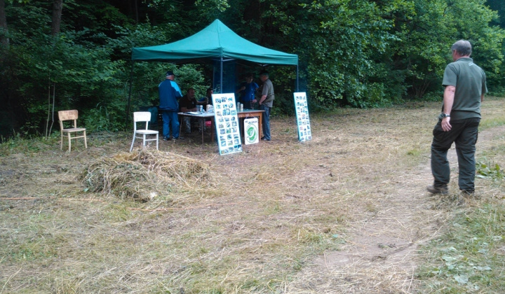 7. fotografia fotogalérie 