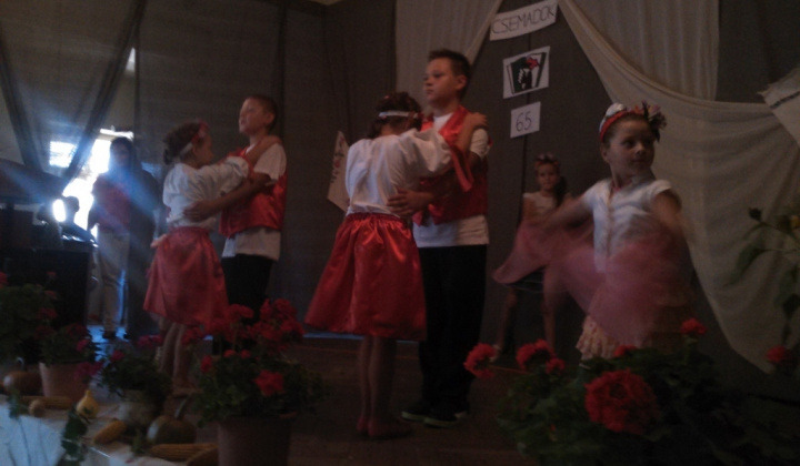 13. fotografia fotogalérie 