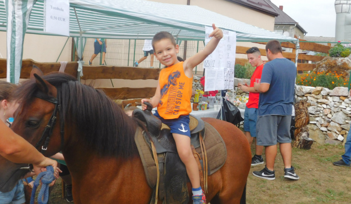 12. fotografia fotogalérie 